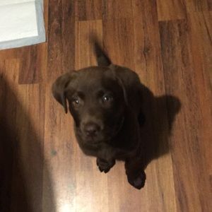 Make me an offer on items